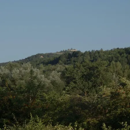 The Railway At Montazels