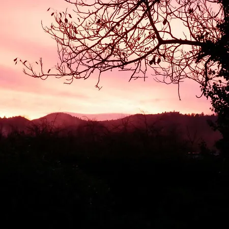 The Railway At Montazels